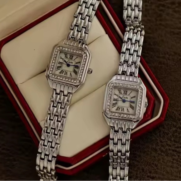 Panthere Classic Crystal Stainless Steel Watch with Diamond Accents - Picture 1 of 13